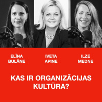 KAS IR ORGANIZĀCIJAS KULTŪRA, SARUNA AR IVETU APINI
