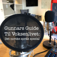 Det norske språk spesial