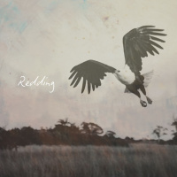 Redding deur Frieda van den Heever