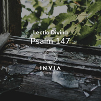 Begeleide Meditasie: Lectio Divina met Psalm 147