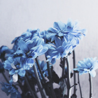 MEOD Meditasie - deur Pierre du Plessis