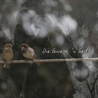 DIe Lewe is n Lied deur Frieda van den Heever