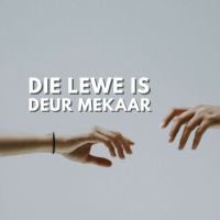 Die Lewe is deur mekaar met Deon Meiring