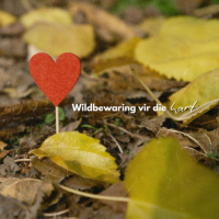 Wildbewaring vir die hart deur Deon Meiring