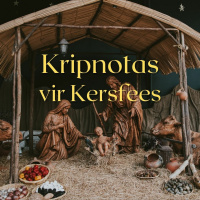 Kripnotas vir Kersfees deur Theo Geyser