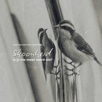 Skoonheid: Is jy nie meer werd nie? deur Theo Geyser