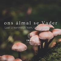 Ons álmal se Vader: Laat U koninkryk kom, U wil geskied deur Theo Geyser