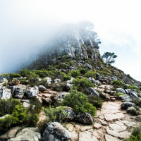 Oordenking: Krag In Die Chaos saam met Frieda