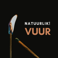 Wanneer jy VUUR steel... Pinkster deur Theo Geyser