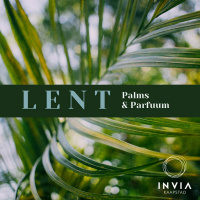 Palms  Parfuum deur Pierre du Plessis