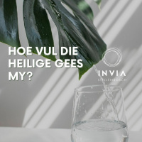 Hoe vul die Heilige Gees my? deur Theo Geyser