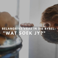 Wat soek jy?... Belangrike vrae in die Bybel deur Theo Geyser