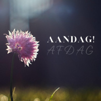 Aandag! Afdag... deur Frieda van den Heever