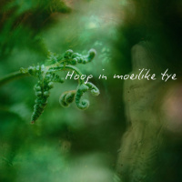 Hoop in moeilike tye deur Theo Geyser