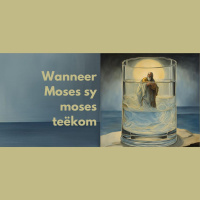 Wanneer Moses sy moses teëkom deur Frieda van den Heever