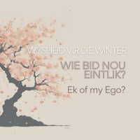 Wie Bid Nou Eintlik... Ek of my Ego? deur Theo Geyser