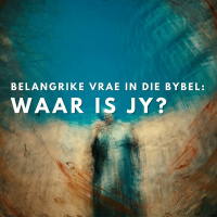 Waar is jy?... Belangrike vrae in die Bybel deur Theo Geyser