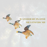 Hoe sê ek JA wanneer my planne nie uitwerk nie?... met Frieda van den Heever