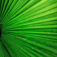 St Francis Dag | Genesis 1 Meditasie saam met Pierre du Plessis