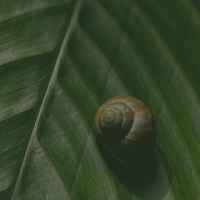 Opstandingsondag: Nuwe Spore deur Pierre du Plessis