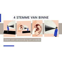 4 Stemme van Binne: Die stem van Woede en Verwonding deur Theo Geyser