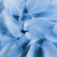 Oordenking: Die Ambag saam met Frieda