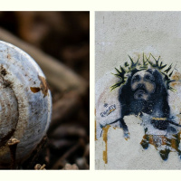 Goeie Vrydag: Spoorloos met Theo Geyser