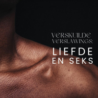 Liefde en Seks... Verskuilde Verslawings deur Frieda van den Heever