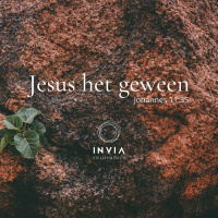 Jesus Het Geween deur Theo Geyser