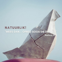 Wees dan...opreg soos die duiwe deur Theo Geyser