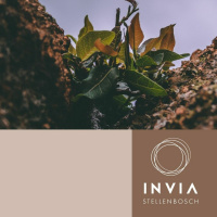 n Jaar later in Covid: Kyk! Ek doen iets nuut deur Johan Geyser