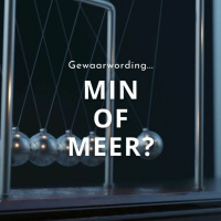 Min of Meer... Gewaarwording deur Theo Geyser