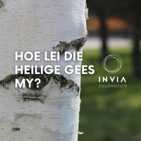 Hoe lei die Heilige Gees my? deur Theo Geyser