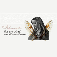 Die voordeel van die t̶w̶y̶f̶e̶l̶ vertroue deur Deon Meiring