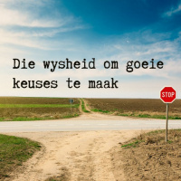 Die Wysheid Om Goeie Keuses Te Maak deur Theo Geyser