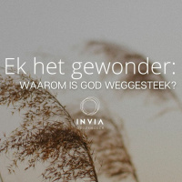 Ek Het Gewonder... Waarom is God weggesteek? deur Theo Geyser
