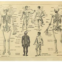 Oordenking: Waars die Genesing? saam met Frieda