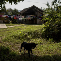 Óriási sikert ért el a kormány: a muszlimokat jobban utálják, mint a cigányokat - 2018.02.01
