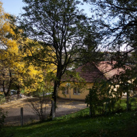 Nem bírják ki dolgozat és nyomasztás nélkül