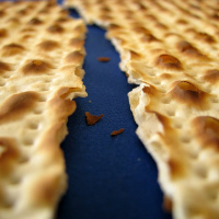 Paasfees 2017 Donderdag - Dag 4 (Brood Van Smarte - Deel 2)