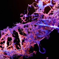 SLP 2025 03 - Karikó Katalin székfoglaló MTA - könyvajánló -stb.