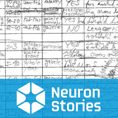 Neuron Stories