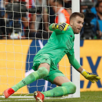 A kapus lába és a mezőnyjátékos keze | Sipőcz József