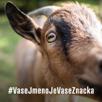 Pohádka o zabezpečených kůzlátkách aneb o HTTPS jinak