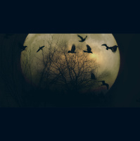 Noční můra 83 – Velký návrat