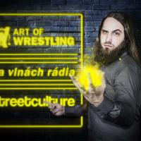 Art of Wrestling na StreetCulture - EP 07: sportovní zápas (+ host)