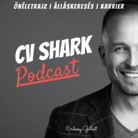 CV Shark Podcast 83: Státusz hierarchia elmélet