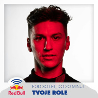 Tvoje Role - David Vacek