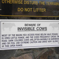 160: Párásujjú patások