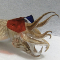 98: Térfogat növesztenek